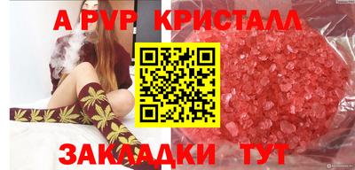 spice Краснознаменск